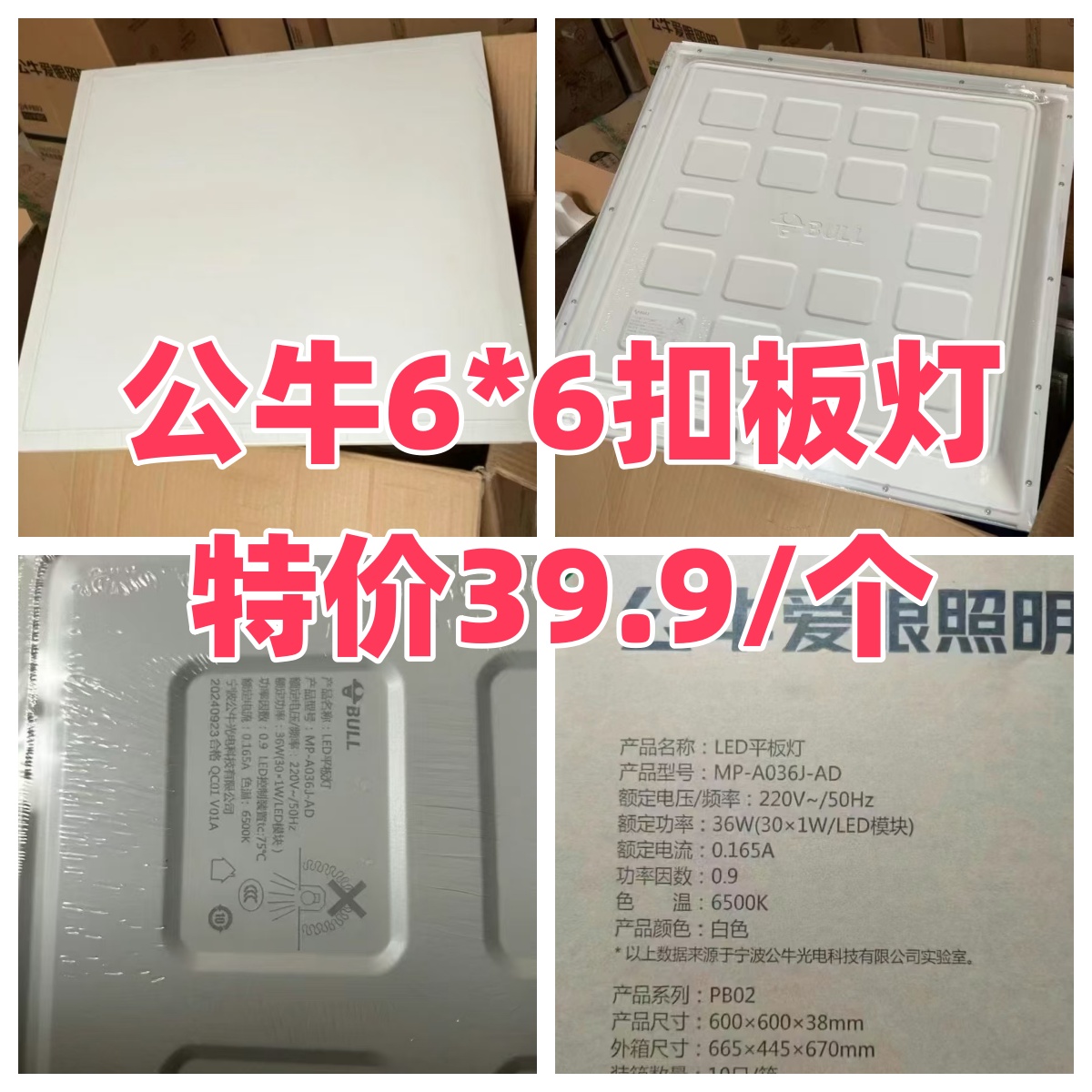 公牛600.jpg
